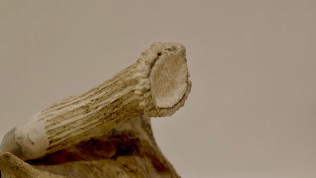 u — 2
